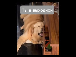 video video by шугаринг ламинирование ресниц и бровей королев sex