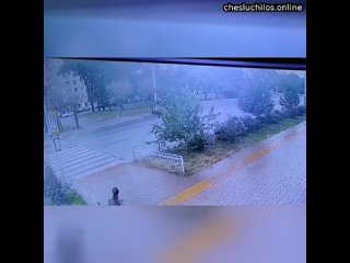video в красноярске водитель снес 18 летнюю девочку на переходе от удара ее подбросило в воздух 36 летни sex