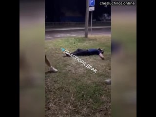 video в ростове каазец молодыевторого каазца за мат полное видео длится 326 строго 18 sex