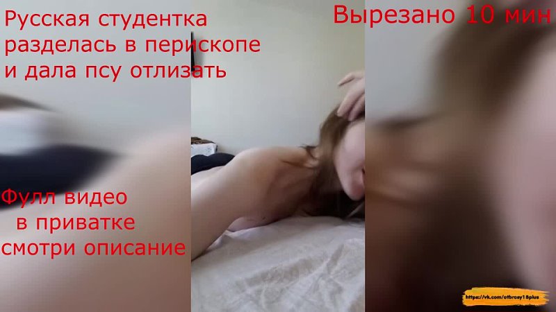 video русская студентка без комплексов запустила эфир в перископе и дала молодые полизать periscope часть 6 sex