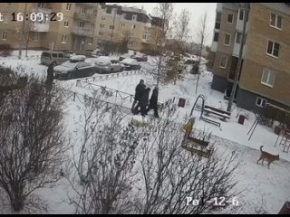 video в питере молодые без поводка и намордника разорвала маленького пса и покусала его хозяина sex