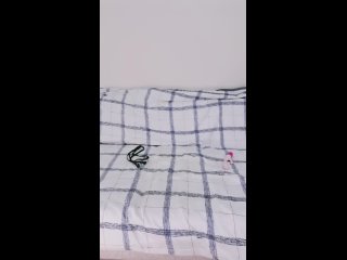video 清纯颜值萝莉跟他的小哥哥沙发上激情啪啪全程露脸无毛骚穴口交大鸡巴无套多体位蹂躏抽插浪叫不断口爆 sex