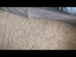 video нежные прикосновения от которых невозможно не кончить sex