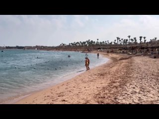 video идеальный пляж в египте 2024 безветренная бухта макади бей хургада отель jaz makadi star 5 sex
