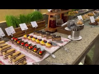 video шок от всё лючено египет сейчас шведский стол в отеле jaz makadi star spa 5 ужин удивил sex