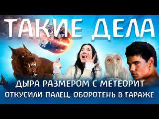video откусили палец оборотень в гараже дыра размером с метеорит такие дела sex