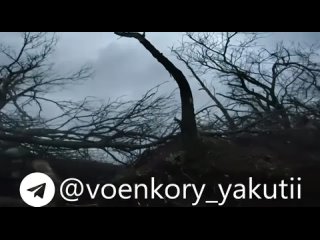 video um exemplo de valor e coragem no distrito militar do norte foi mostrado por um guerreiro de yakutia com o sex