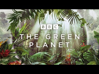 video bbc зелёная планета bbc the green planet 5 серия человеческие миры 2022 1080p sex