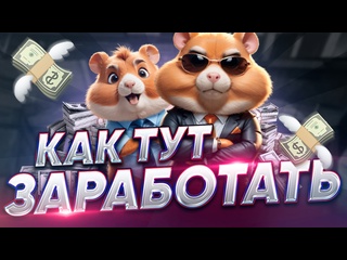 video скам хомяк быстрая прокачка в hamster kombat обзор игры хамстер комбат как заработать деньги sex