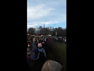 video видеофакт минута молчания в память о романе бондаренко 2 sex