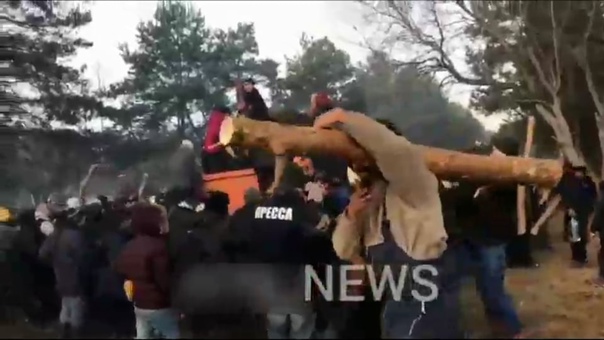 video лукашисты подвезли мигрантам срубы деревьев которыми они атакуют польских военных 2 sex