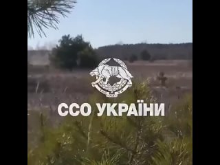 video украинские ссо и грузинские добровольцы показали как уничтожают колонну оккупантов sex