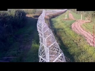 video беларусские пограничники попались на порче забора на границе с литвой sex