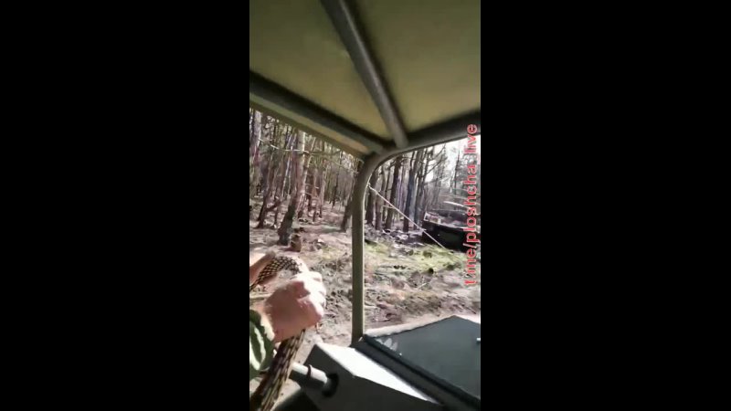 video грузинские добровольцы показали уничтоженную московитскую технику в давыдовом броде sex