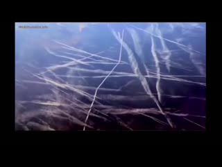video сумасшедшие сектанты сошли с ума пришло время их остановить sex