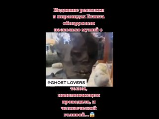 video мумии с телом крокодила и человеческой головой sex
