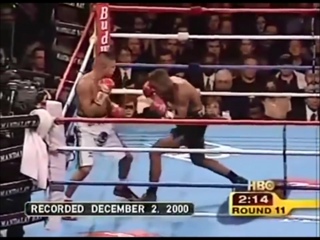 video тринидад варгас felix trinidad vs fernando vargas highlights sex