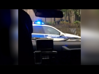 video золотая молодежь смотрела порно во время гонок с полицией sex