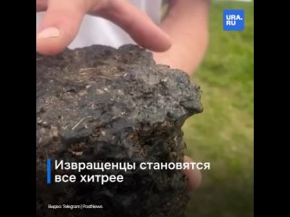 video извращенцы кажется совсем сбрендили кто то спрятал камеру в камень на пляже sex