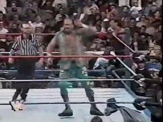 video wwf summerslam 1996 sex