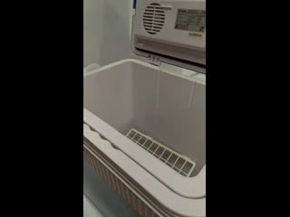 video автомобильный холодильник delta d h24 p по уникальной цене за 3 480 руб sex