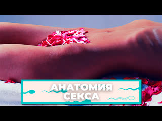 video анатомия секса как заниматься сексом во время месячных sex