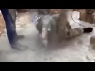 video толпа дагестанцев засунула друга в бетономешалку и засыпала цементом sex