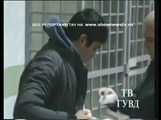 video тау беглые узбеки забившие соплеменника камнями попались на урале sex