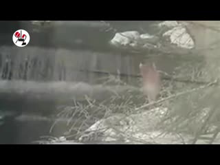 video началось голая купалась в водопаде real video sex