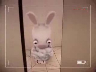 video бешенные кролики sex