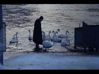 video невыносимая легкость бытия the unbearable lightness of being 1988 г сша эротическая ретро драма лесби фильм sex