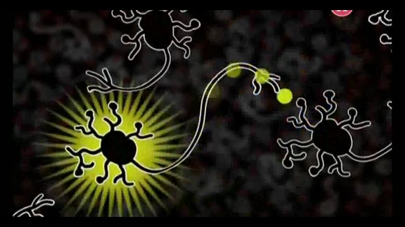 video дрёма когда мозг погружен в себя sleepiness when your brain has a mind of its own 2012 sex