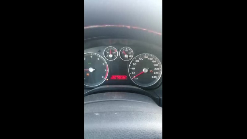 video video vid 20210426 074337 mp4 sex