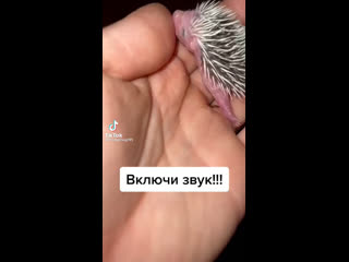 video видео от взгляни на мир путешествия арт фото туризм sex