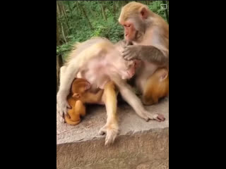 video видео от взгляни на мир путешествия арт фото туризм sex