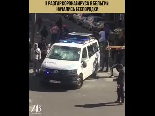 video в разгар коронавируса в бельгии начались sex