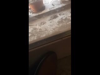 video видео от максима кошелева sex