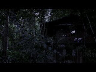 video bbc last chance to see 2009 последний шанс увидеть 1 амазонский ламантин amazonian manatee sex