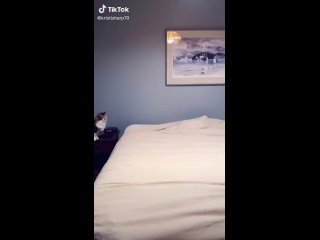 video помогает перед сном стелить постель sex