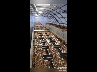 video украина готовит своё биологическое оружие секретная лаборатория sex
