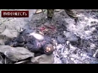 video армия украины применяет молодые оружие против мирных жителей видеожесть sex