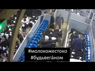 video вместо матери коровы кормление молочных телят на ферме молокожестоко будьвеганом sex