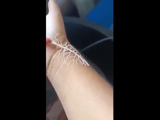 video неведомая хтонь пытается сожрать руку человека sex