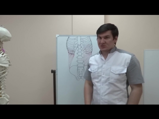 video sls косые мышцы молодые как тренировать и растягивать sex