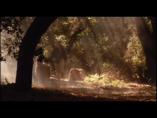 video озеро любви лесное озеро lake consequence sex