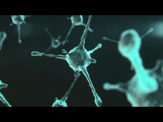 video агент джэйд блэк официальный русский трейлер 2021 sex