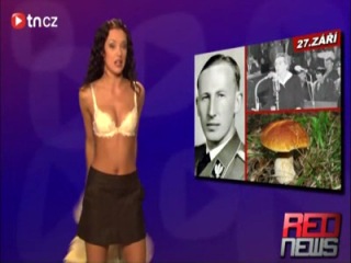 video сексуальная ведущая раздевается в передаче sex