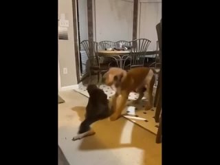 video тренирои реально привели к результату sex