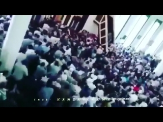 video 5 июня черный день для мусульман и ингушского народа sex
