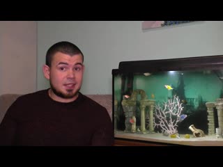 video ситимобил и домогательства в таксикак любитель порно попал в ситимобил sex